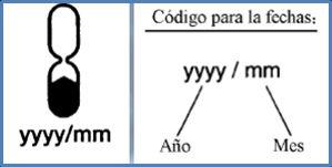 Pictograma vida útil